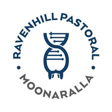Ravenhill Pastoral